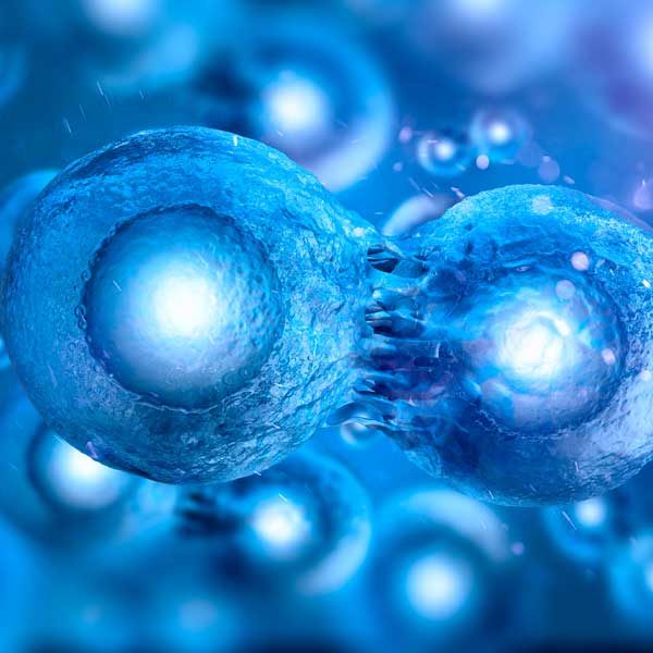 paa cellular assays application